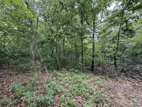 197 County 426 Rd, Rector, AR 72461 photo 28