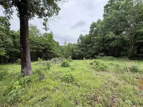 197 County 426 Rd, Rector, AR 72461 photo 16
