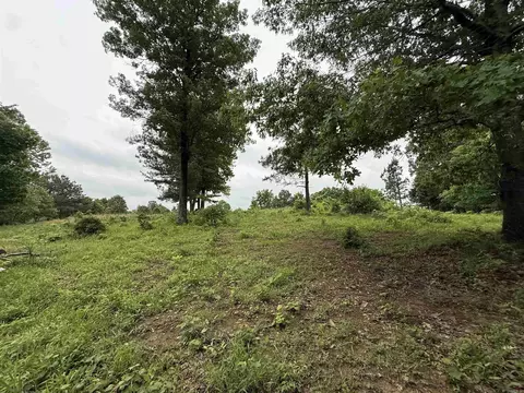 197 County 426 Rd, Rector, AR 72461 photo 26