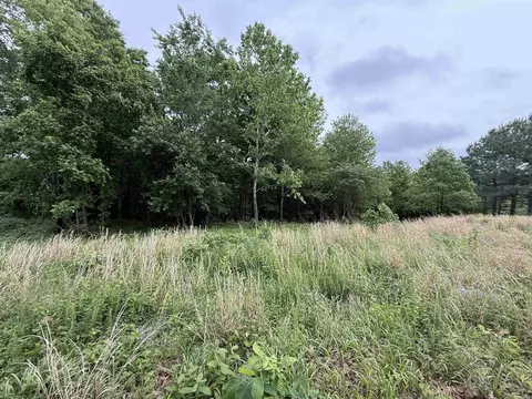 197 County 426 Rd, Rector, AR 72461 photo 10