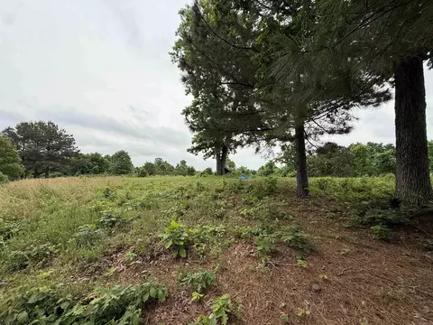 197 County 426 Rd, Rector, AR 72461 photo 13