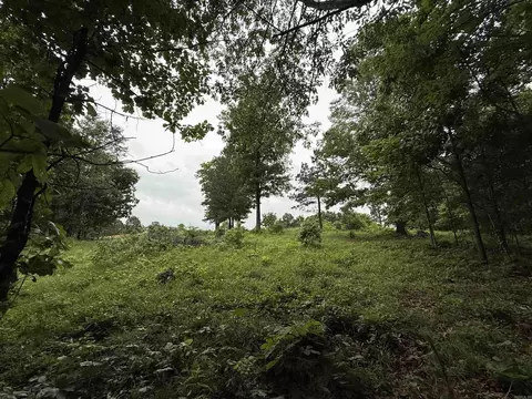 197 County 426 Rd, Rector, AR 72461 photo 33