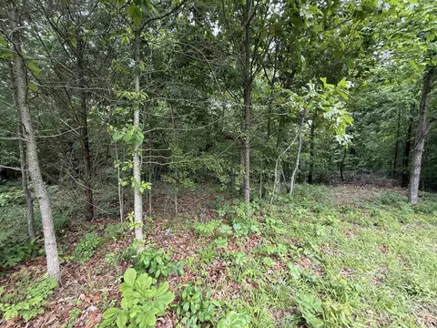 197 County 426 Rd, Rector, AR 72461 photo 23