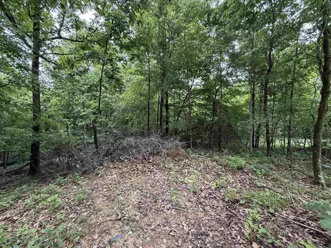 197 County 426 Rd, Rector, AR 72461 photo 29