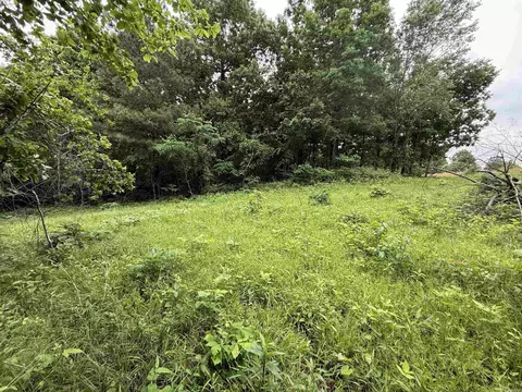 197 County 426 Rd, Rector, AR 72461 photo 34