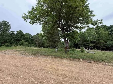 197 County 426 Rd, Rector, AR 72461 photo 4