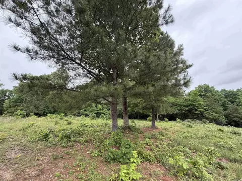 197 County 426 Rd, Rector, AR 72461 photo 8