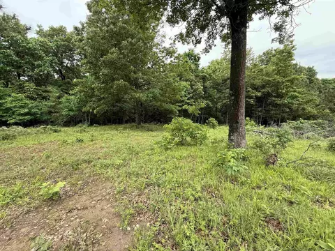 197 County 426 Rd, Rector, AR 72461 photo 15