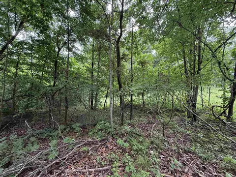 197 County 426 Rd, Rector, AR 72461 photo 32