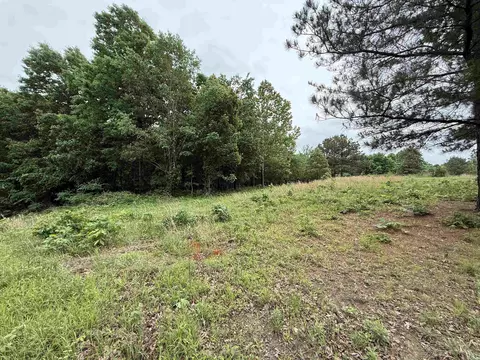 197 County 426 Rd, Rector, AR 72461 photo 17