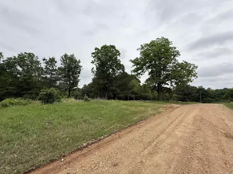 197 County 426 Rd, Rector, AR 72461 photo 3