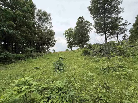 197 County 426 Rd, Rector, AR 72461 photo 37