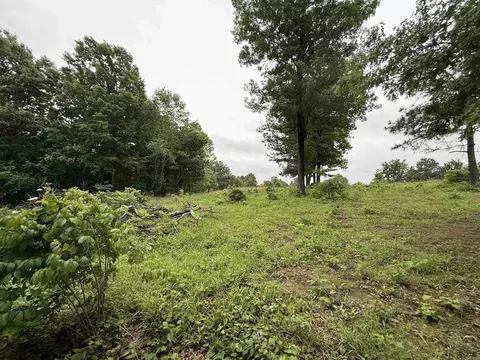 197 County 426 Rd, Rector, AR 72461 photo 25