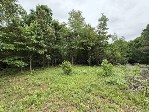 197 County 426 Rd, Rector, AR 72461 photo 22