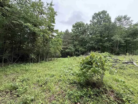 197 County 426 Rd, Rector, AR 72461 photo 24