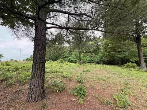 197 County 426 Rd, Rector, AR 72461 photo 14