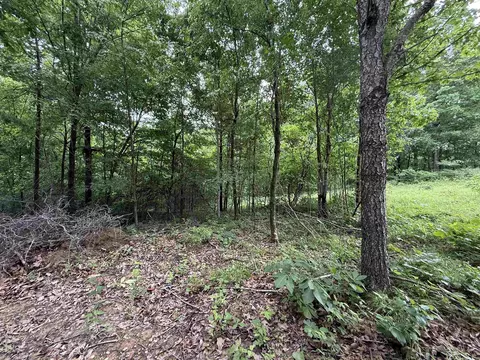 197 County 426 Rd, Rector, AR 72461 photo 30