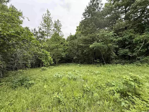 197 County 426 Rd, Rector, AR 72461 photo 36
