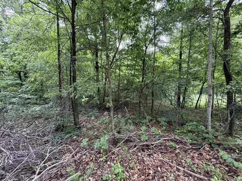 197 County 426 Rd, Rector, AR 72461 photo 31