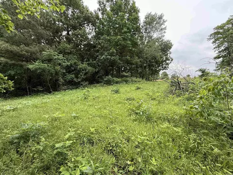 197 County 426 Rd, Rector, AR 72461 photo 35