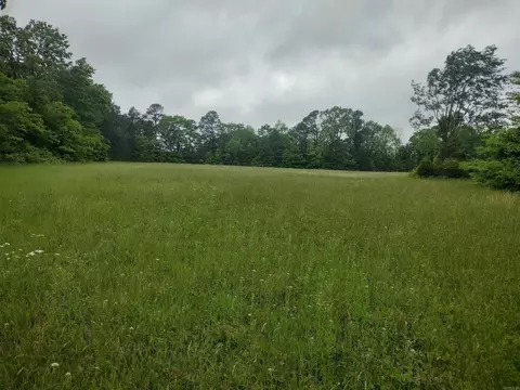 16235 Hwy 263, Fox, AR 72051 photo 14