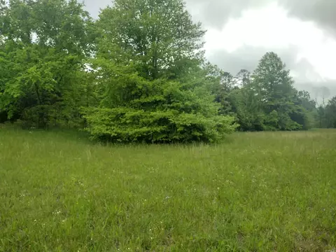 16235 Hwy 263, Fox, AR 72051 photo 15