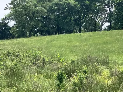 tbd Abernathy Rd, Pencil Bluff, AR 71965 photo 5