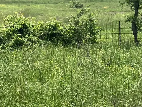 tbd Abernathy Rd, Pencil Bluff, AR 71965 photo 4