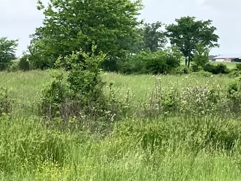 tbd Abernathy Rd, Pencil Bluff, AR 71965 photo 6