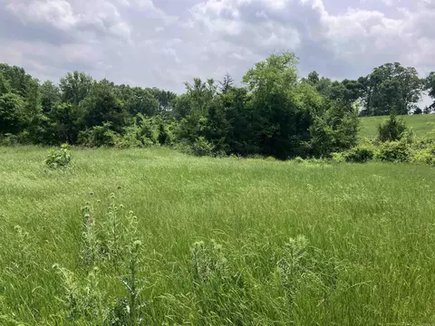 tbd Abernathy Rd, Pencil Bluff, AR 71965 photo 3