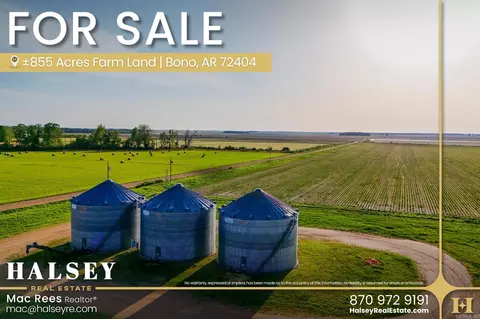 855 Acres In Bono Ar, Bono, AR 72416