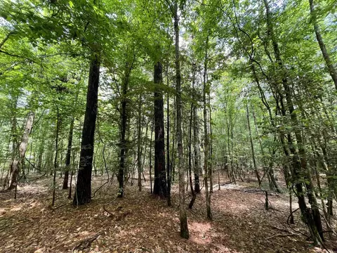 56 48 Acres Ouachita 387, Camden, AR 71701