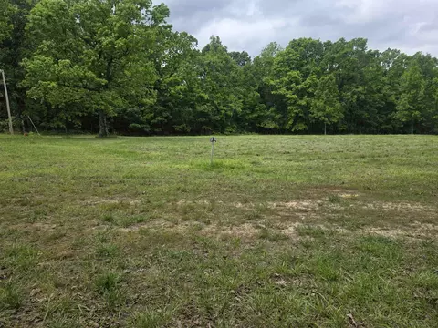 Exterior - 406 E Cc Rd, Hardy, AR 72542 photo 9 of 18