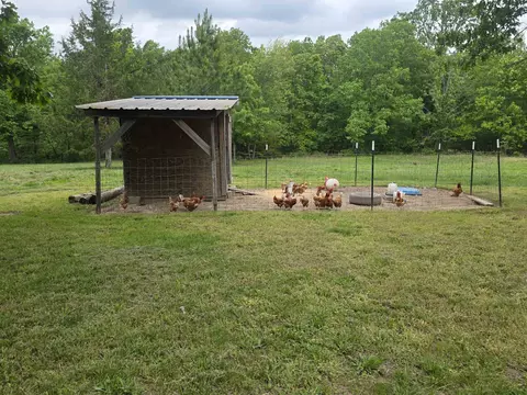 Exterior - 406 E Cc Rd, Hardy, AR 72542 photo 12 of 18