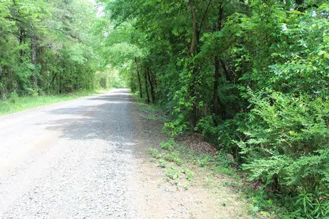 000 426, Dardanelle, AR 72834