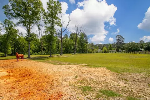 Exterior - 12603 Germania Rd, Alexander, AR 72002 photo 15 of 16