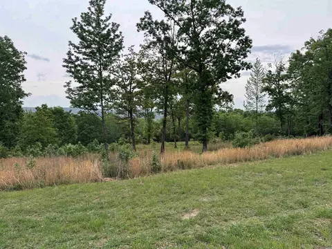 2 Watersedge Drive, Edgemont, AR 72044 photo 3