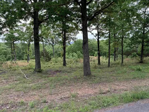 2 Watersedge Drive, Edgemont, AR 72044 photo 2
