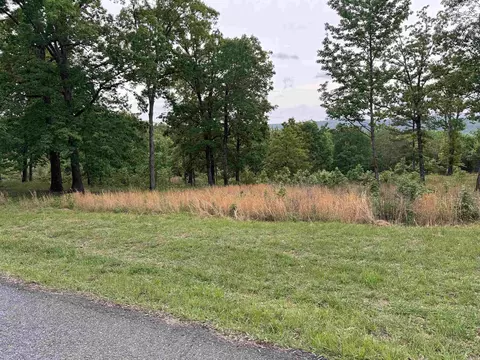 2 Watersedge Drive, Edgemont, AR 72044 photo 4