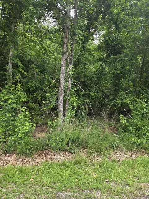 2764 Lost Lk, Hot Springs, AR 71913