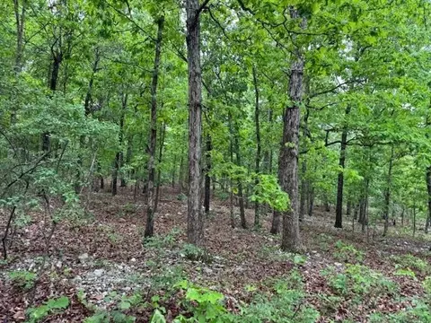 1329 Echowood Cir, Viola, AR 72583