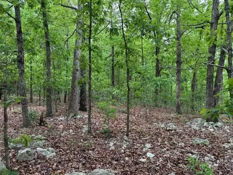1329 Echowood Cir, Viola, AR 72583 photo 7