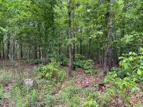 1329 Echowood Cir, Viola, AR 72583 photo 2