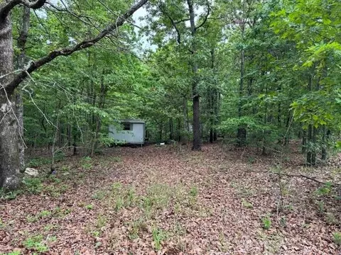 1329 Echowood Cir, Viola, AR 72583 photo 10