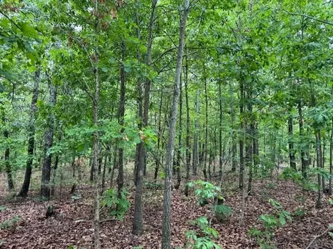 1329 Echowood Cir, Viola, AR 72583 photo 11