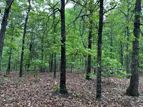 1329 Echowood Cir, Viola, AR 72583 photo 6