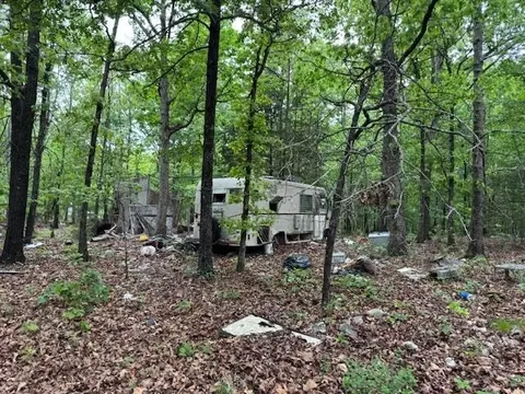 1329 Echowood Cir, Viola, AR 72583 photo 5