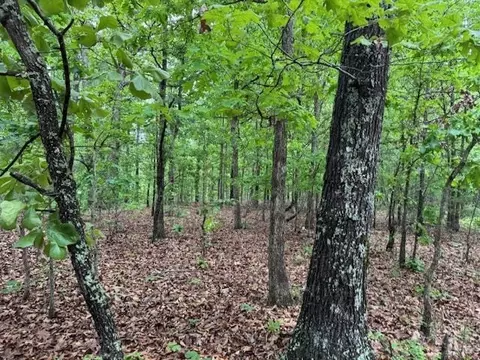 1329 Echowood Cir, Viola, AR 72583 photo 8