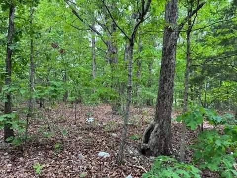 1329 Echowood Cir, Viola, AR 72583 photo 3
