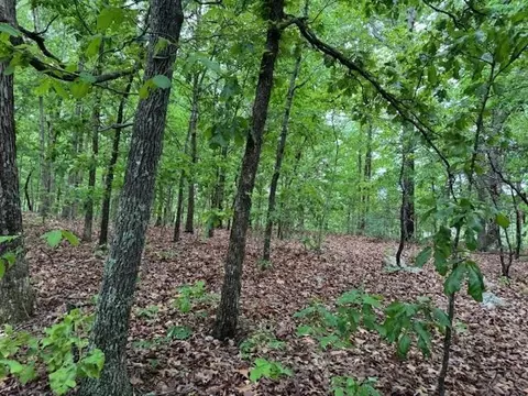 1329 Echowood Cir, Viola, AR 72583 photo 4